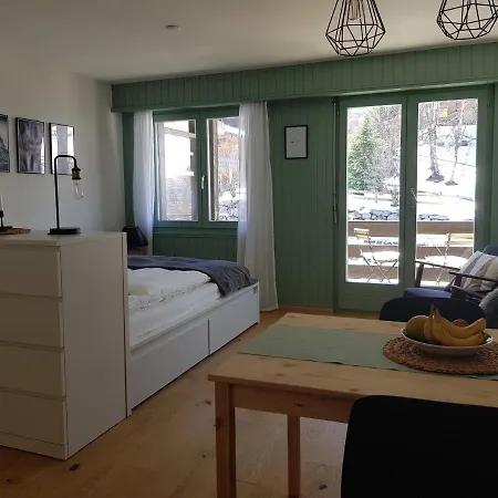 - Cosy Et Central, Haute-nendaz, 4 Vallees Апартаменты