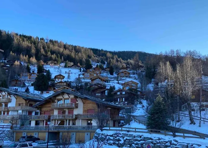 Daire - Cosy Et Central, Haute-nendaz, 4 Vallees Nendaz