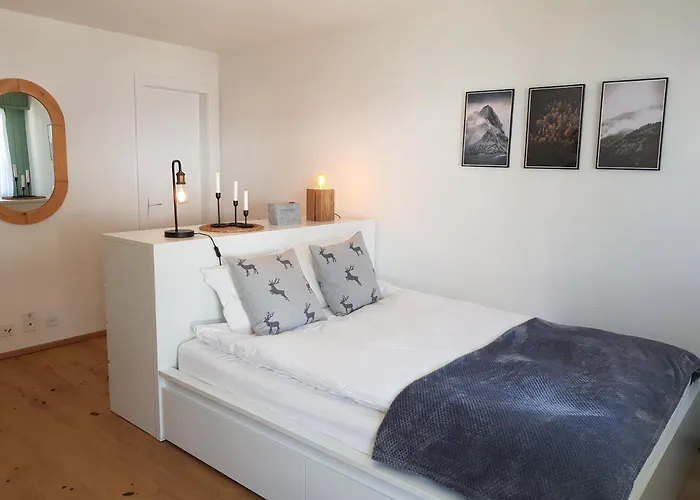 Daire - Cosy Et Central, Haute-nendaz, 4 Vallees *